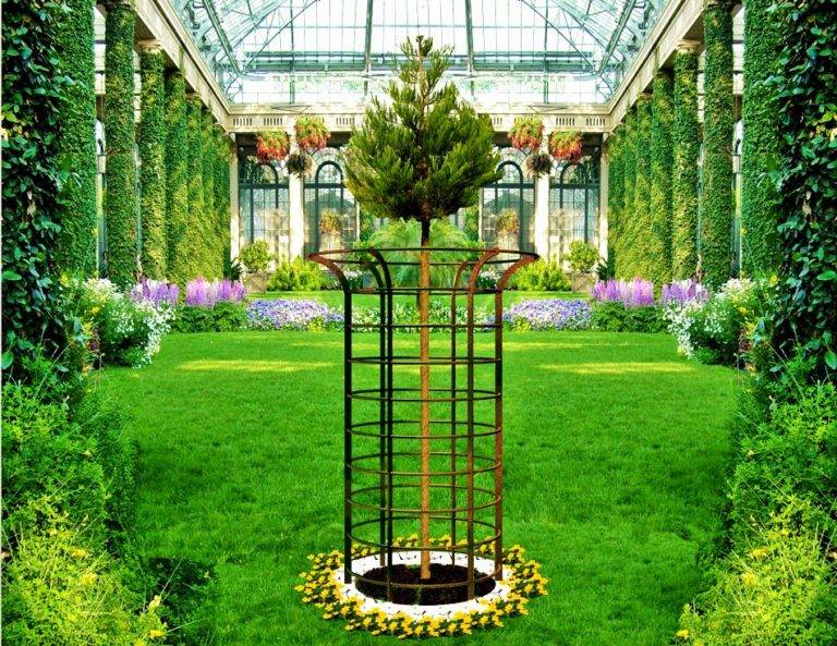 wrought iron tree guard I-001