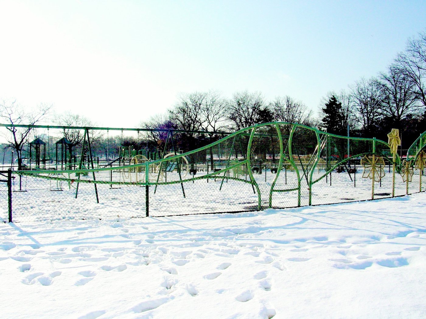 Iron art fence AF 005