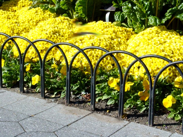 Iron picket fence FN 038
