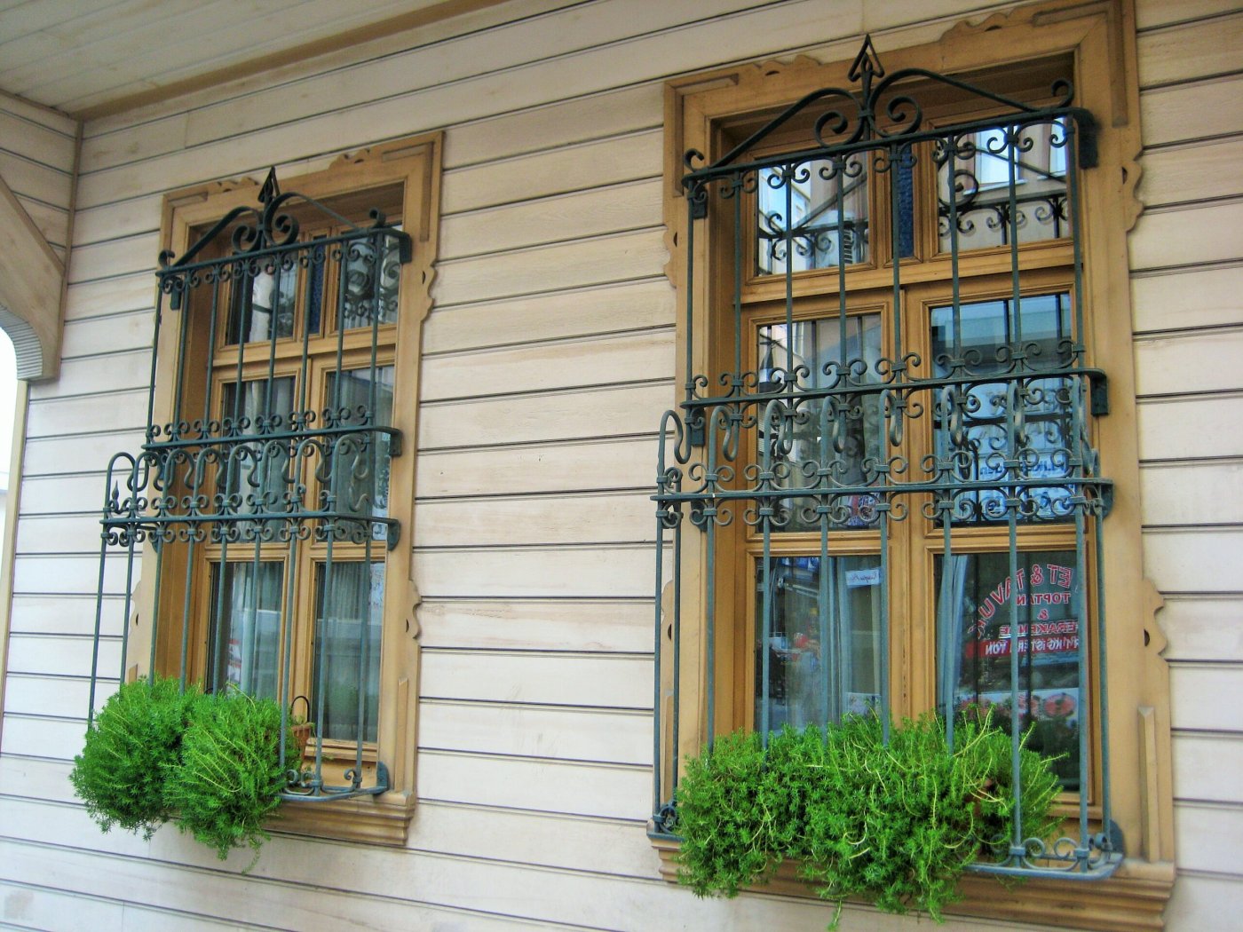 Ron window guard WN 002