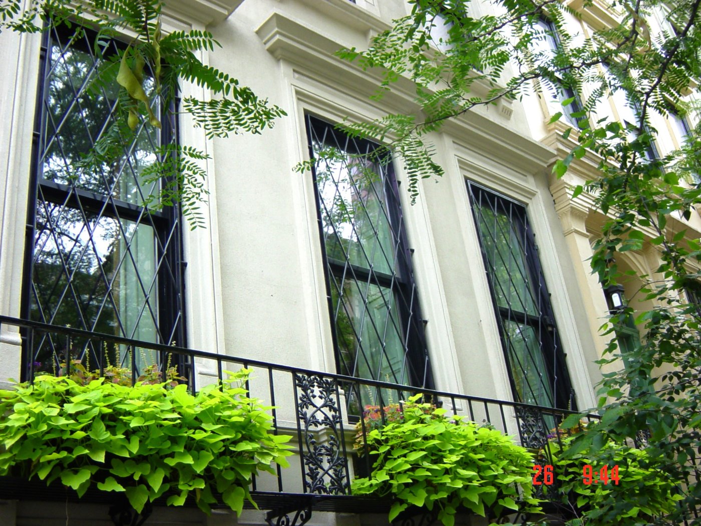 Ron window guard WN 003