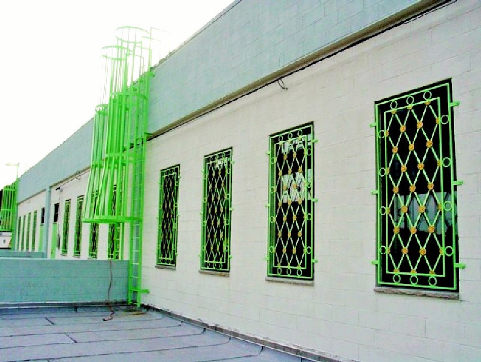 Ron window guard WN 005