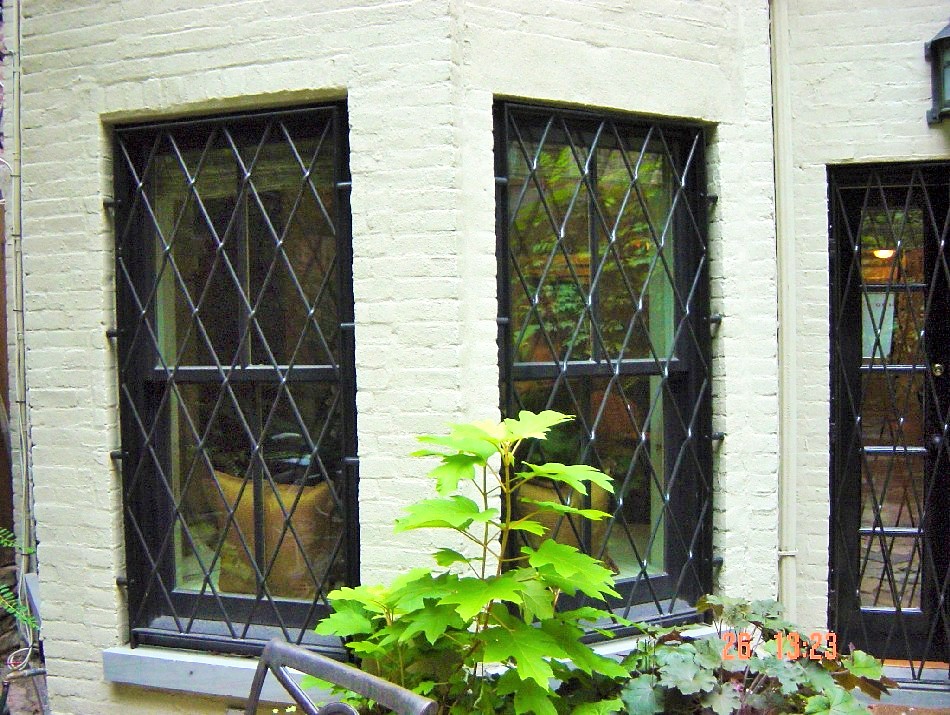 Ron window guard WN 006