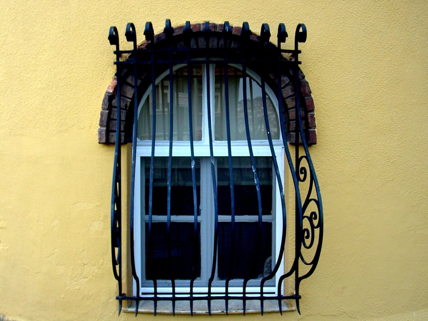 Ron window guard WN 009