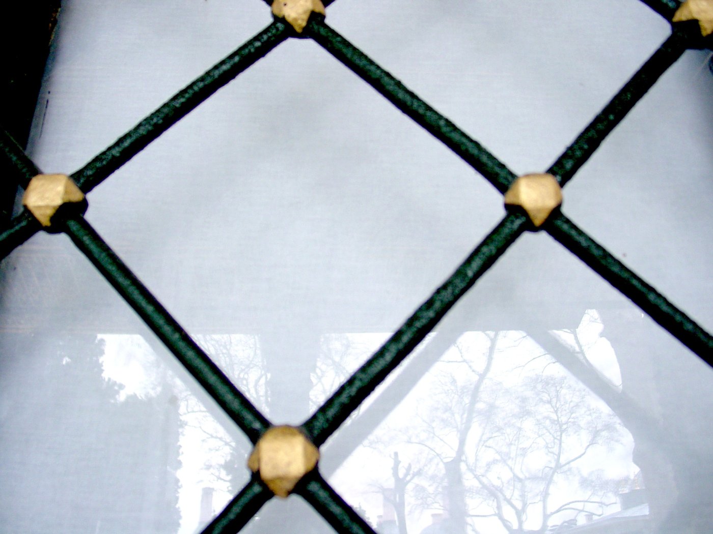 Ron window guard WN 019