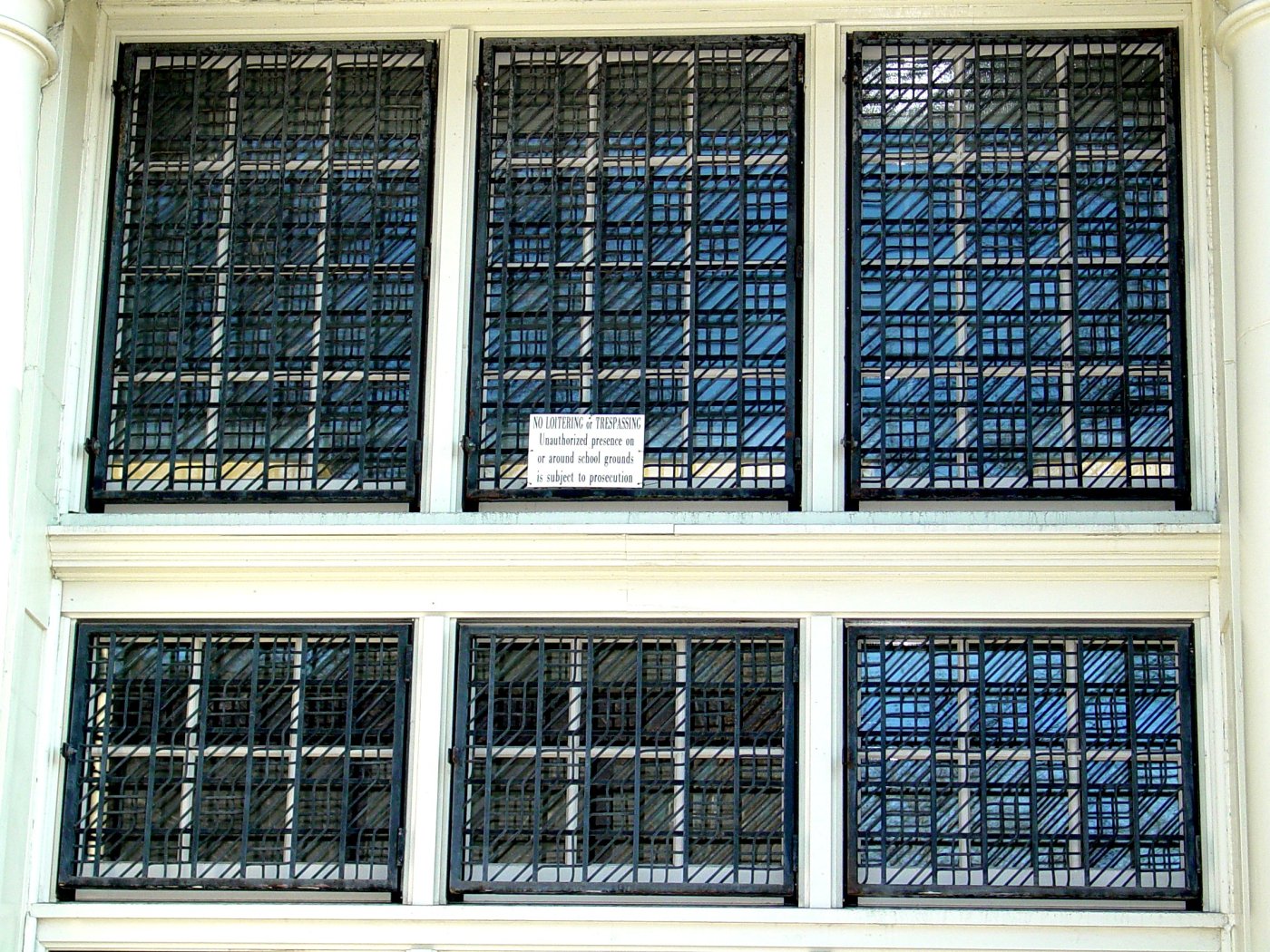 Ron window guard WN 020